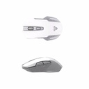 Fantech WG10 Raigor II Wireless Gaming Mouse