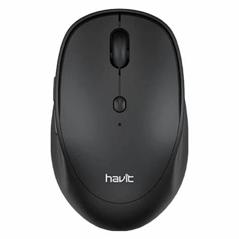 HAVIT MS76GT Wireless Mouse