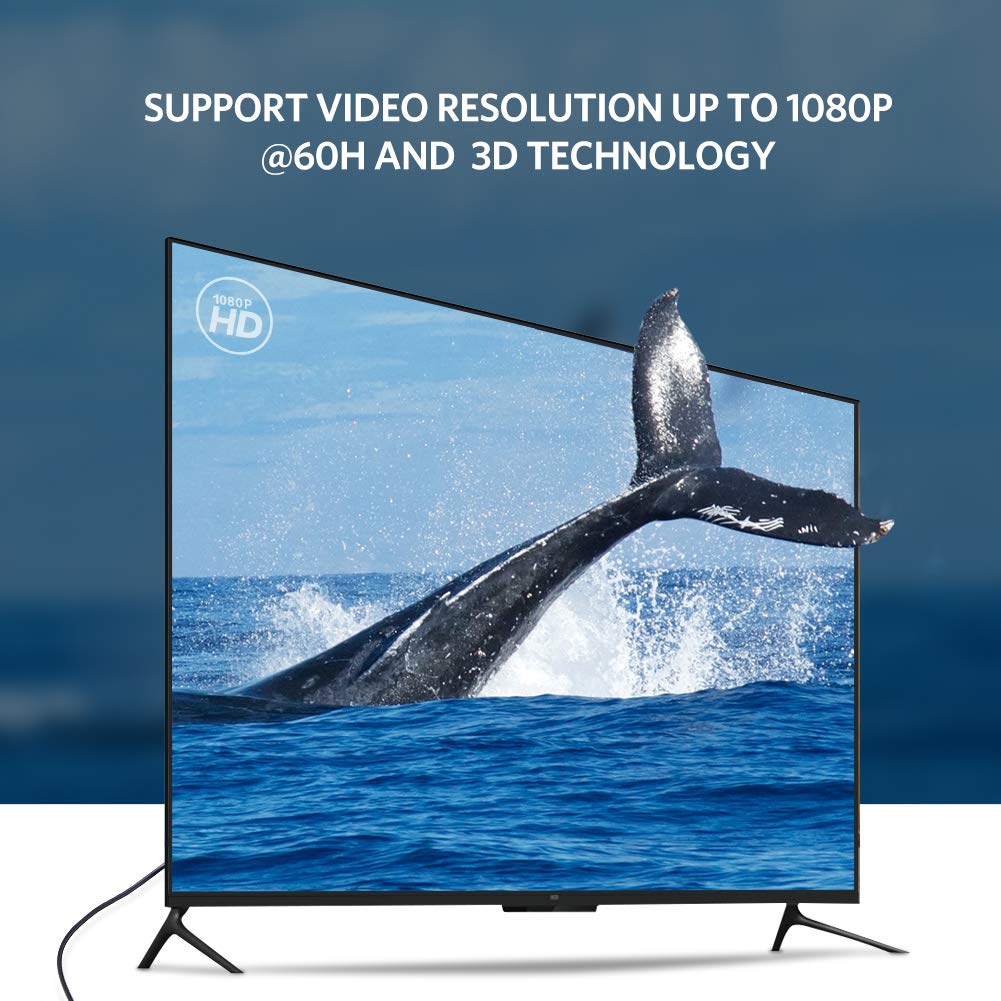 UGREEN DVI-D to VGA Adapter (Converter) | 40259