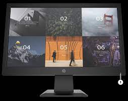 HP 19" Monitor ( P19V G4 )