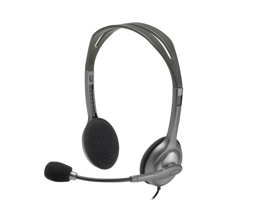 Logitech H110 Stereo Headset