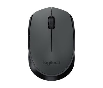 Logitech Wireless Mouse M171 (Blue /Grey)