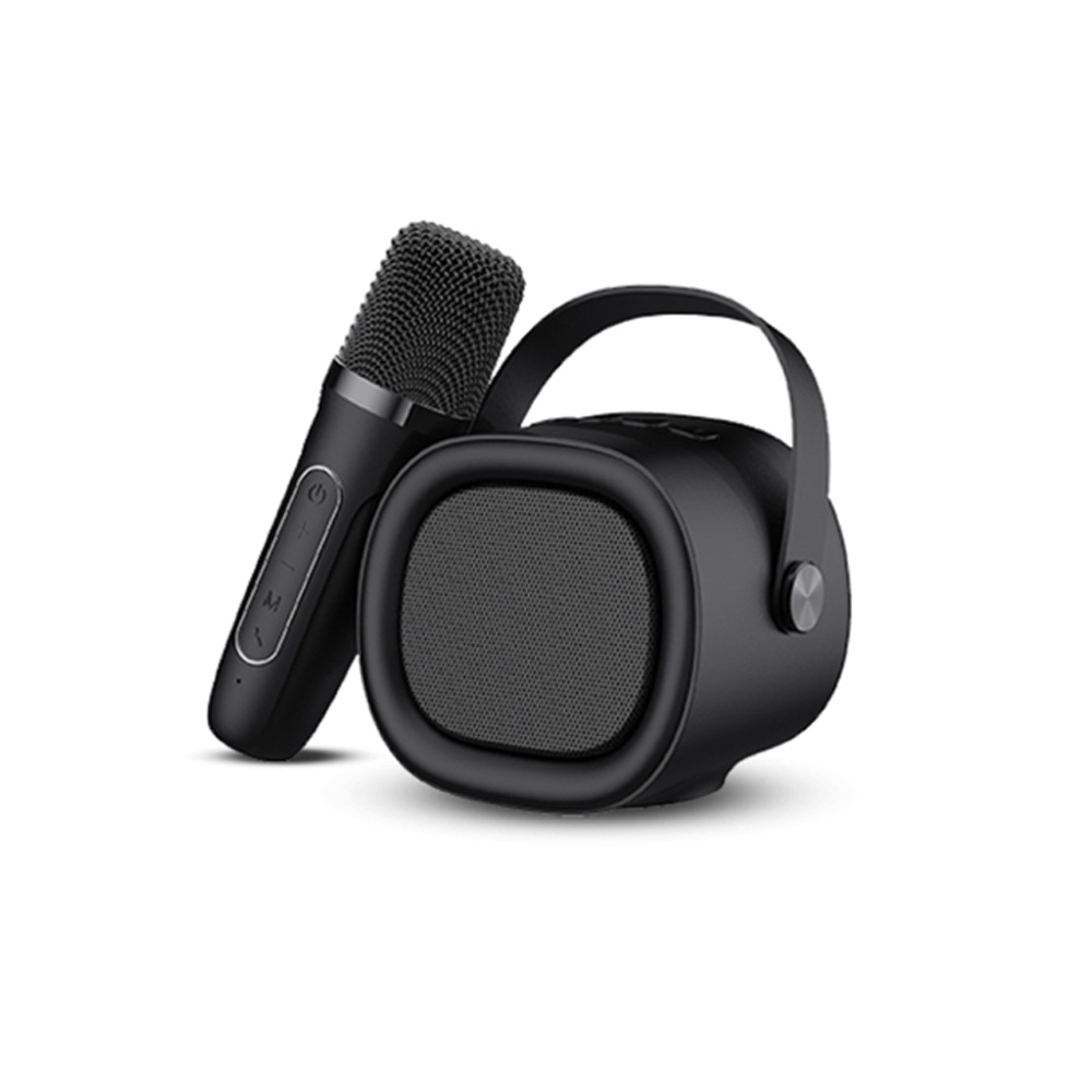 HAVIT SK819BT Outdoor Portable Speaker with Microphone