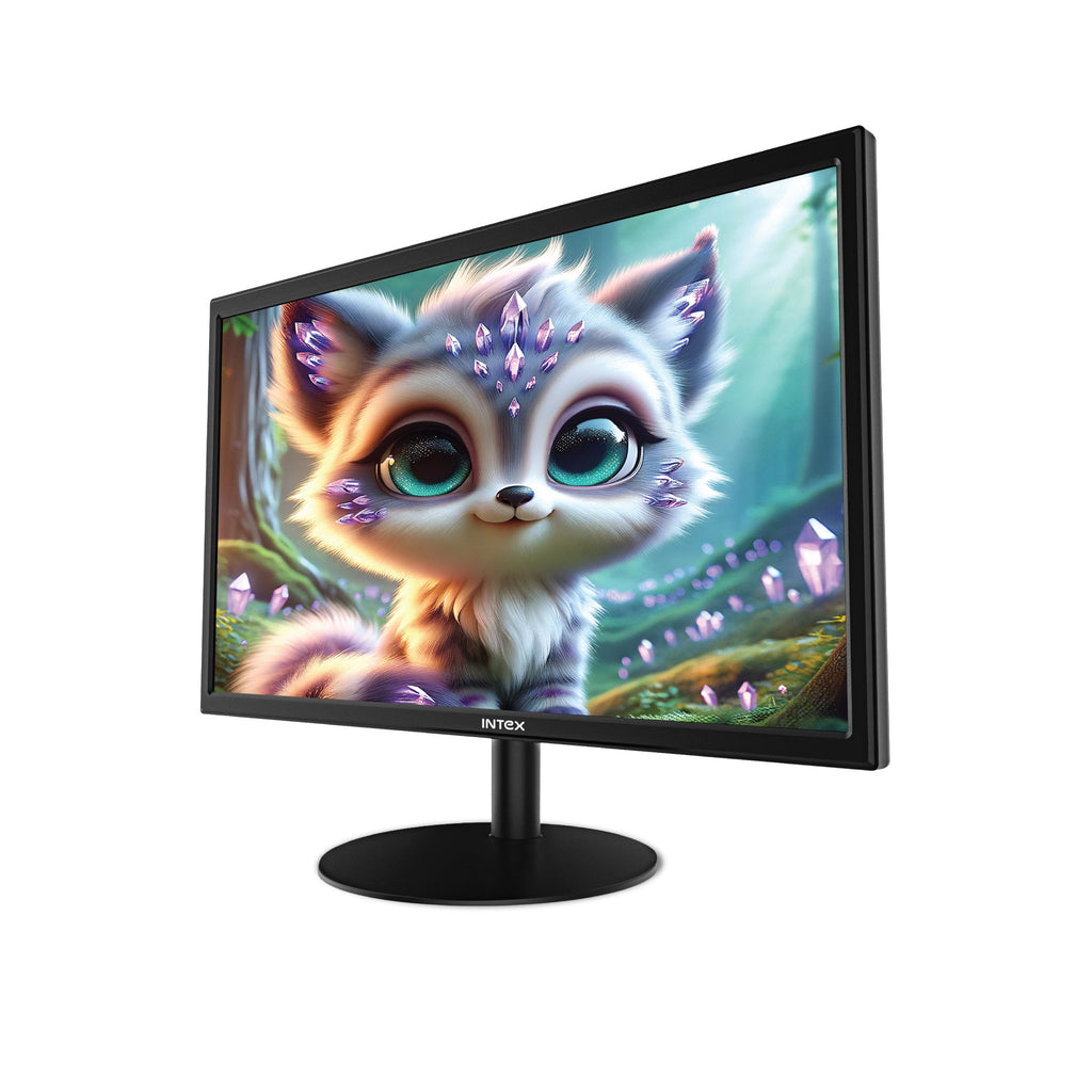 Intex Brand Monitor 19" (IT-1902)