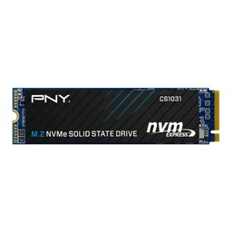 PNY 256GB NVME SSD (CS1031)