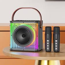 HAVIT SK822BT Portable Dual Wireless Microphone Karaoke Speaker